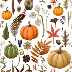 Seamless pattern with pumpkins and autumn elements. Vector.