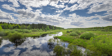 A tranquil river flows gracefully through a vibrant green forest, the lush foliage reflecting in the crystal-clear waters