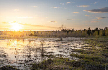 A field of grass and water with a sunset in the background