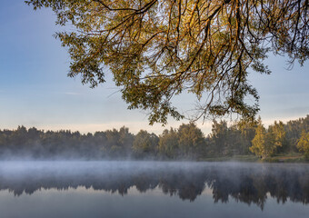 A tranquil lake engulfed in a morning mist with an autumn tree framing the scene, reflecting the surrounding foliage in the water, creating a peaceful ambiance.