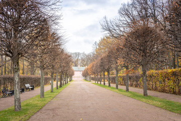 A path lined with trees and a bench