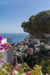Portrait view of Positano Italy framed by Bougainvillea and stone pine tree
