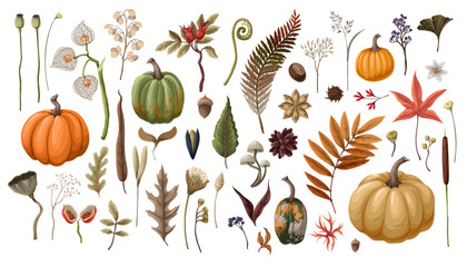 Pumpkins and autumn elements isolated. Vector.
