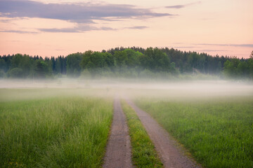 Misty morning in the field with fog © ChristianL
