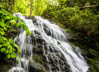 Cataract Falls Near The Cove Mountain Trail, Great Smoky Mountains National Park, Tennessee, USA