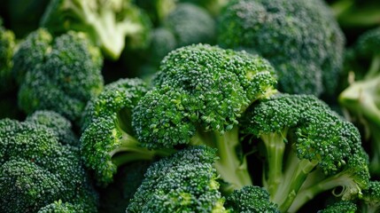 Broccoli a key element in salads