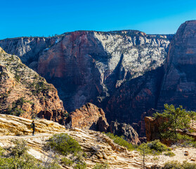 Female Hiker Below  Sandstone Cliffs on The West Rim Trail, Zion National Park, Utah, USA