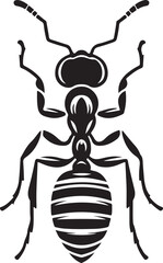 Ant on a white background