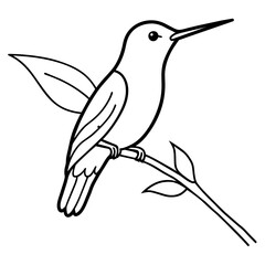 Obraz premium Charming Hummingbird Perched on a Branch: Nature's Tiny Marvel