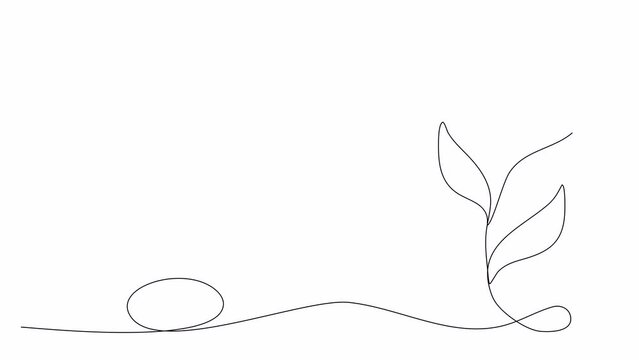 Romanic floral corner frame, one line drawing animation. Video clip with alpha channel.