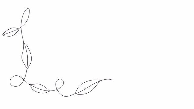 Floral corner frame, one line drawing animation. Video clip with alpha channel.