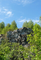 green trees on rock stone slopes, summer season. beautiful nature background. mountain landscape. harmony of nature. travel, hiking, adventure concept