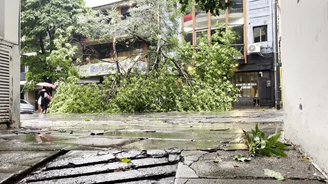 Nature s fury in the form of a storm causes widespread destruction and damage to streets and buildings. Fallen trees and broken branches litter the city, creating dangerous conditions. The aftermath