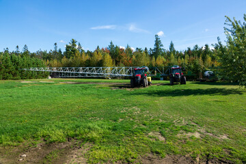 A Quebec cranberry farm in the fall