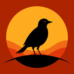 Bird silhouette on the sunset background