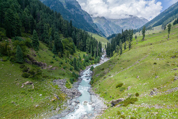 A river runs through a green forest in the Himalayas, highlighting its natural beauty, Kashmir, India