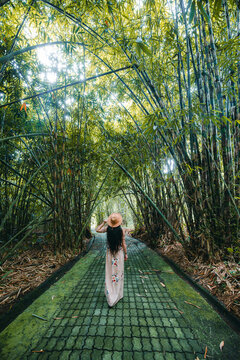 Young woman in a long dress is walking down the path inside lush bamboo forest in the Penglipuran village, Bali, Indonesia. 