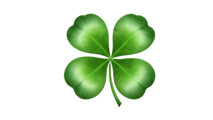 four leaf clover isolated on white background , transparent png image