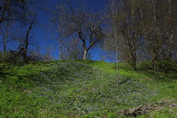 Spring landscape of Duszatyn village in Bieszczady Mountains, Poland