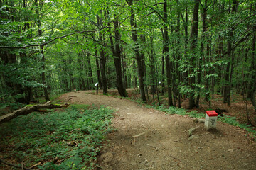 Sconce (fortification) of Bar Confederation in Bieszczady mountains, Poland