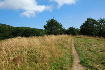 Mountain landscape near Okraglik Peak in Bieszczady Mountains, Poland