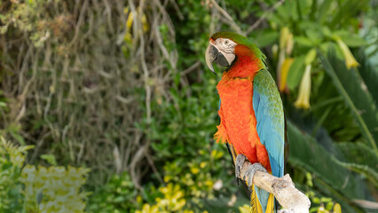 Zoo Sanary-sur-Mer (2024-06)