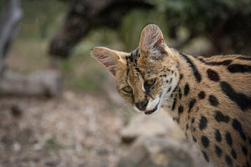 Zoo Sanary-sur-Mer (2024-06)