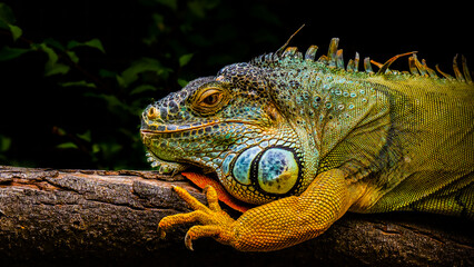 Zoo Sanary-sur-Mer (2024-06)