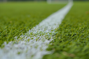 white row of a football field
