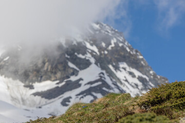 Fototapeta premium landscape with snow