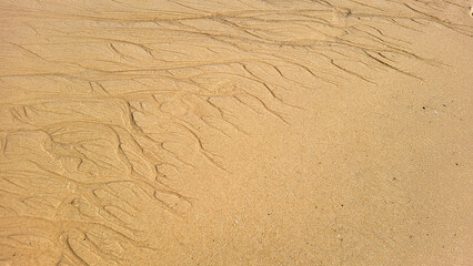 beautiful sand beach