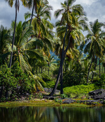 Obraz premium Hawaiian Island Landscape