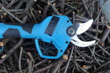 Pruning trees with electric pruning shears branch cutter automatic with battery to easyprune branches of trees. Gardening electric tool equipment.