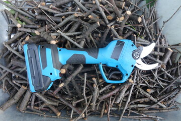 Pruning trees with electric pruning shears branch cutter automatic with battery to easyprune...