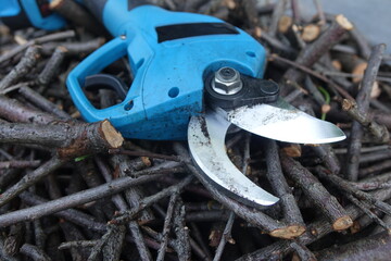 Pruning trees with electric pruning shears branch cutter automatic with battery to easyprune branches of trees. Gardening electric tool equipment.