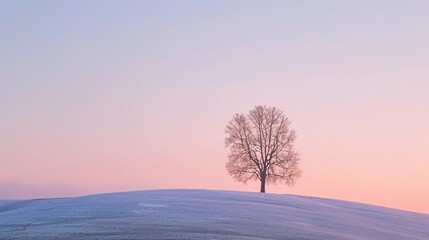 A lone tree standing on a hill at sunset, with the sky filled with subtle pastel colors