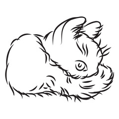 A simple cat in doodle style. Vector illustration on white background.