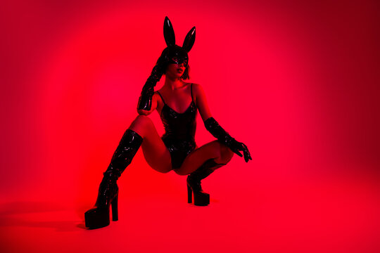 Photo of strip lady sit pose wear rabbit leather costume isolated red color background