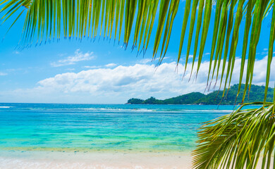 Palm trees and blue sea in a torpical beach