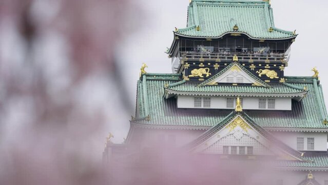 大阪城と桜