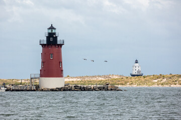 Phot of the Delaware Breakwater and Harbor of Refuge Lighthouses with three Birds