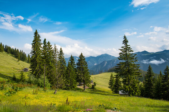 The beautiful nature of Rugova canyon in Kosovo