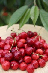 Tasty ripe red cherries in wooden plate outdoors, closeup
