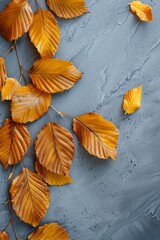 The image shows a yellow alder leaf with natural texture on a gray beige background. Macro foliage with veins and fall color.