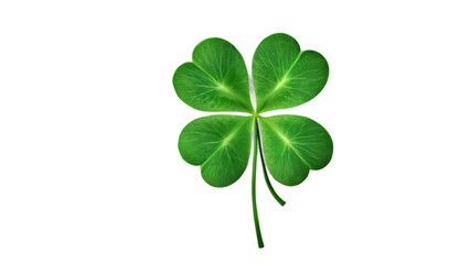 Obraz premium four leaf clover isolated on white background , transparent png image