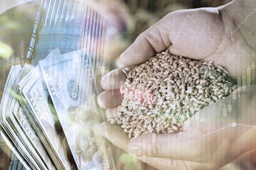 Global grain crisis. Farmer with wheat seeds, dollar bills, office building and graph, multiple exposure