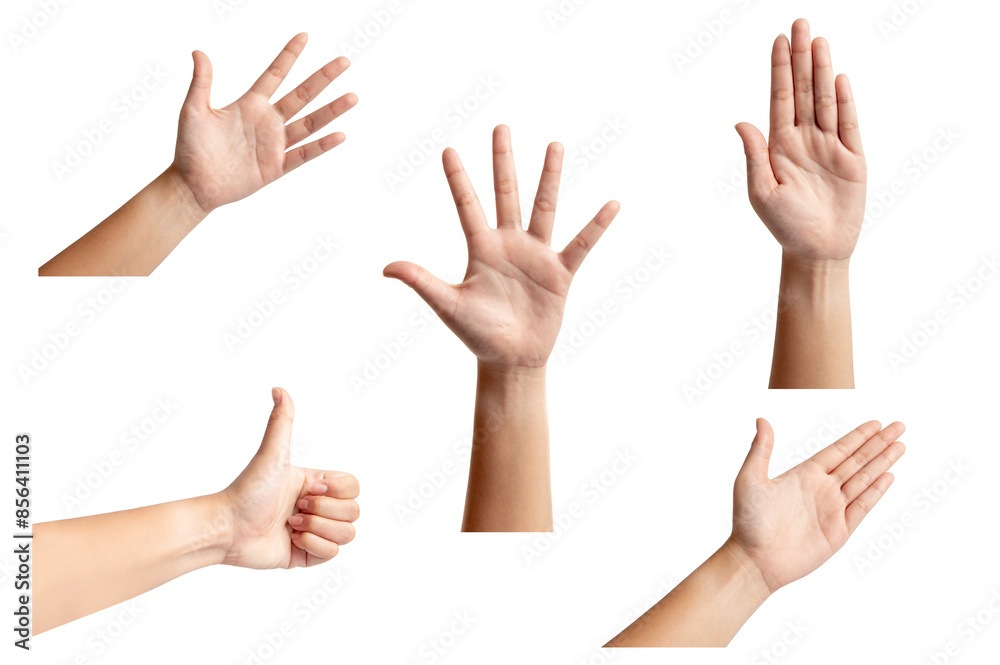 Wall mural Set of Young woman hands gesture isolated on white background.