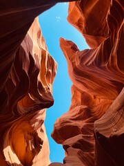 antelope canyon state seahorse  © judy