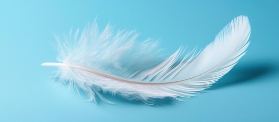 A white feather is laying on a blue background