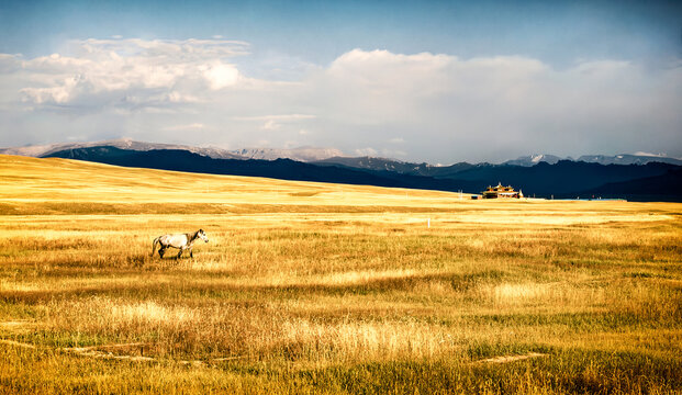 Horse running on the golden grass in front of Barun monastery in Bayanbulak Grassland, Xinjiang, China